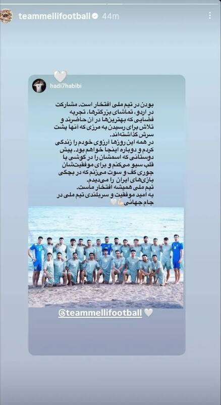 هادی حبیبی نژاد