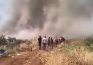 فیلم/ به آتش کشیدن زمین‌های کشاورزی فلسطینی‌ها در نابلس