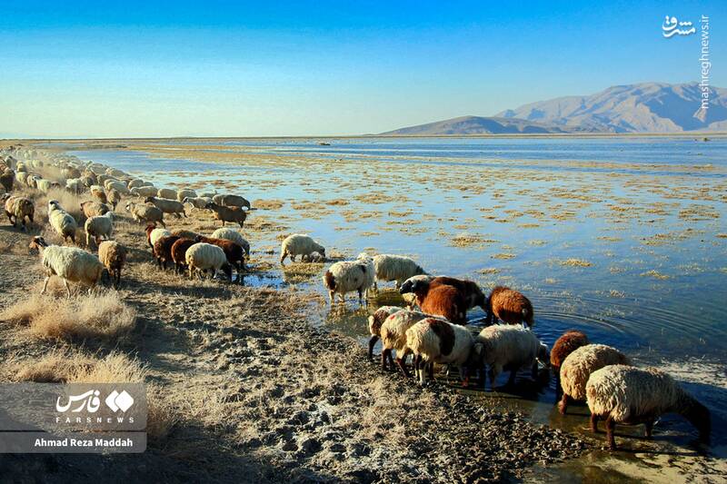 عکس/ فارس؛ گنجینهای به وسعت ایران با همه زیستبومها