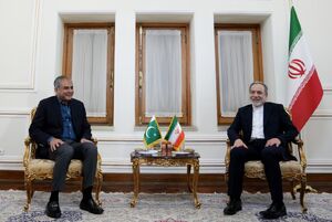 عکس/ دیدار وزیر کشور پاکستان با عراقچی