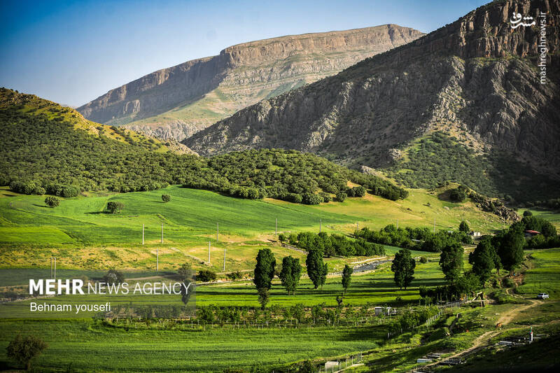 عکس/ آبشار دره اسپر در لرستان