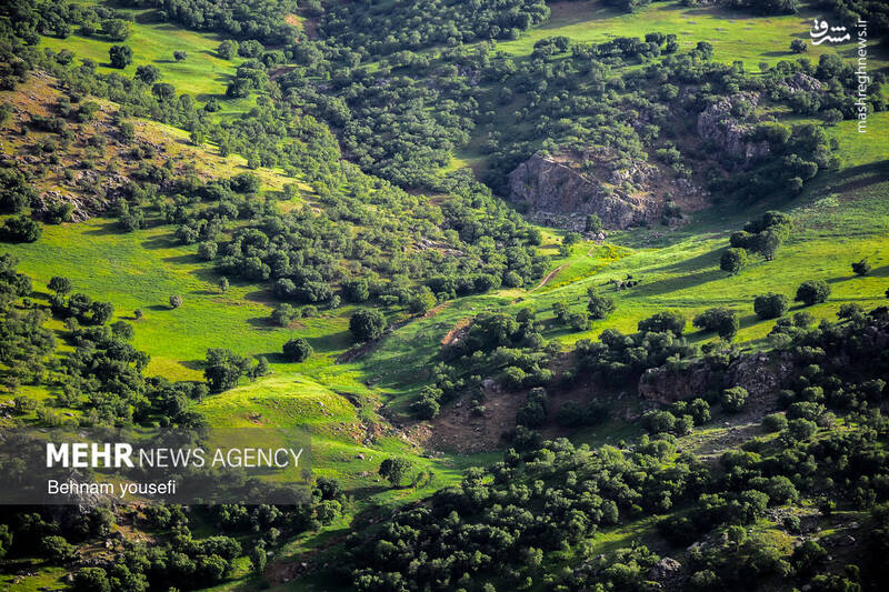 عکس/ آبشار دره اسپر در لرستان