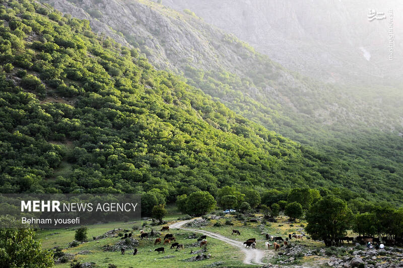 عکس/ آبشار دره اسپر در لرستان