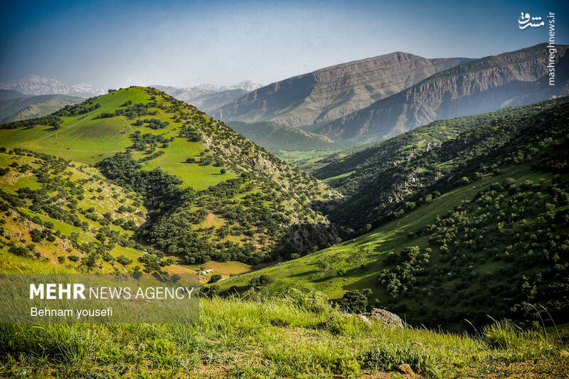 عکس/ آبشار دره اسپر در لرستان