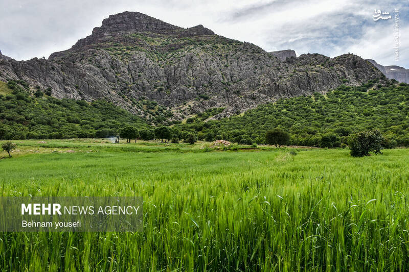 عکس/ آبشار دره اسپر در لرستان