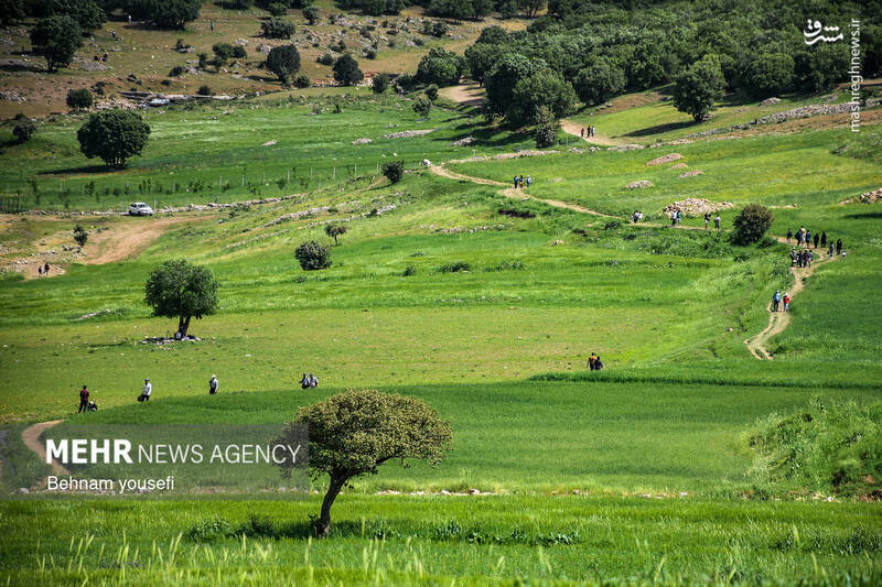 عکس/ آبشار دره اسپر در لرستان