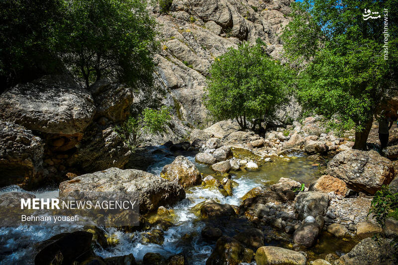 عکس/ آبشار دره اسپر در لرستان