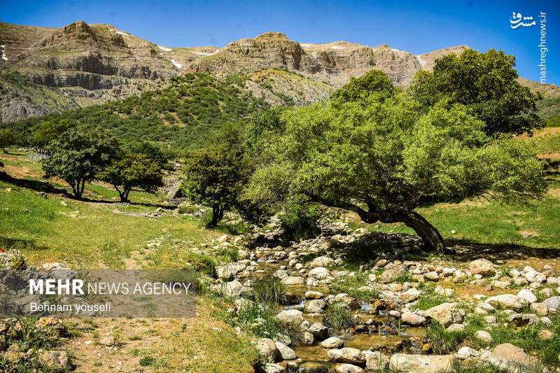 عکس/ آبشار دره اسپر در لرستان