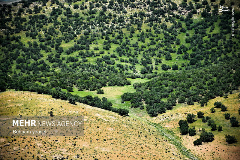 عکس/ آبشار دره اسپر در لرستان
