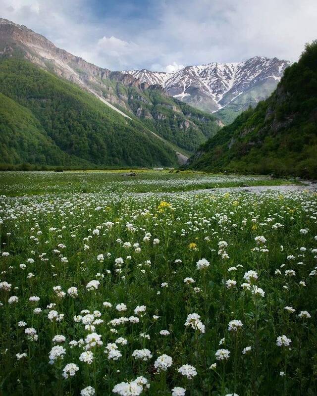 تصویری از دشت دریاسر رویایی