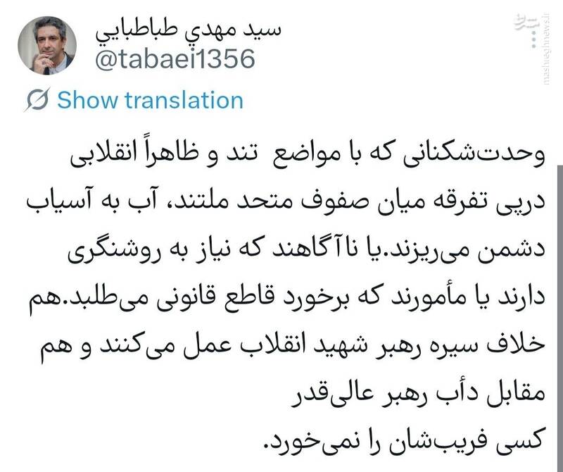 سیدمهدی طباطبایی: کسی فریب وحدتشکنان را نمیخورد