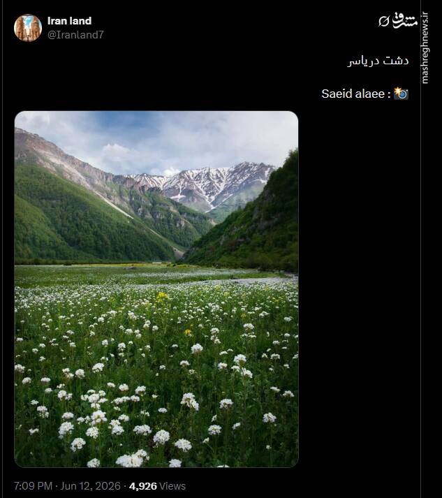 تصویری از دشت دریاسر رویایی