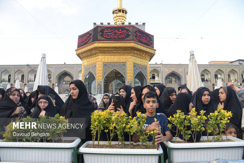 آئین سیاهپوشان حرم مطهر امام رضا (ع)