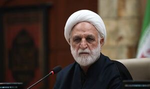 قاضی القضات: نباید در زمین دشمن بازی کنیم