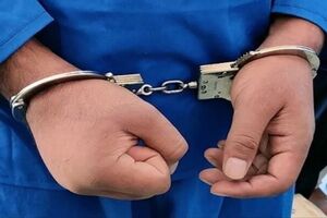 فیلم/ سرکرده اوباش در قیطریه با شلیک پلیس زمین‌گیر شد