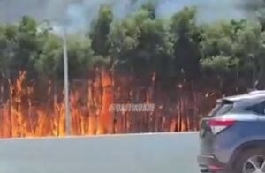 آتش‌سوزی گسترده در فلوریدا
