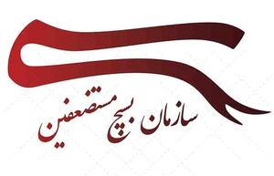 بسیج