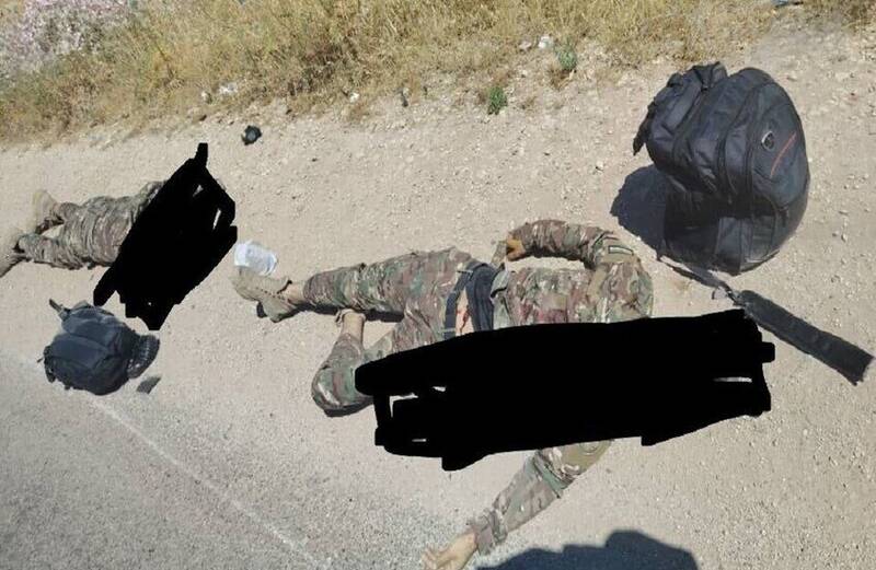حمله،گزارش