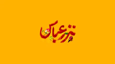روایت مادر شهید صدرزاده برای رهبر شهید انقلاب از شهادت فرزندش در ظهر تاسوعا