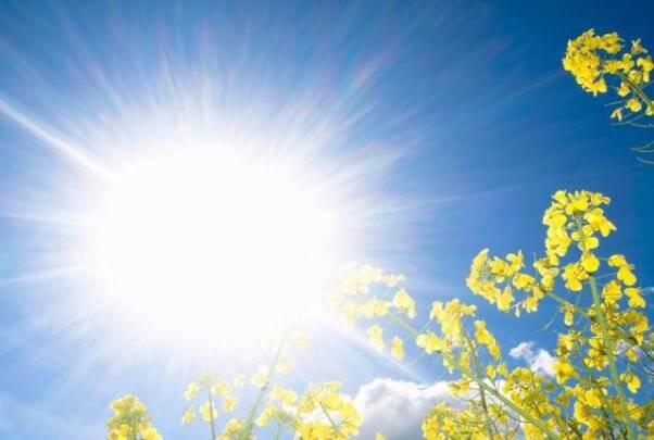 UV،فرهادي،پوست،ضدآفتاب،اشعه،خورشيد،مستقيم،شاخص،ساعت،تابش،محا ...