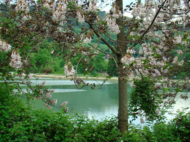 گلستان،استان،مشرق