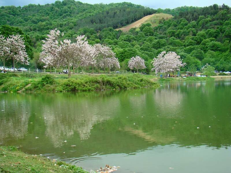 آب‌بندان توشن، یکی از جلوه‌های ارزشمند طبیعت استان گلستان
