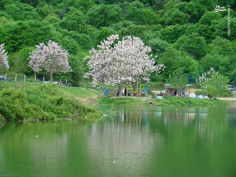 آب‌بندان توشن، یکی از جلوه‌های ارزشمند طبیعت استان گلستان