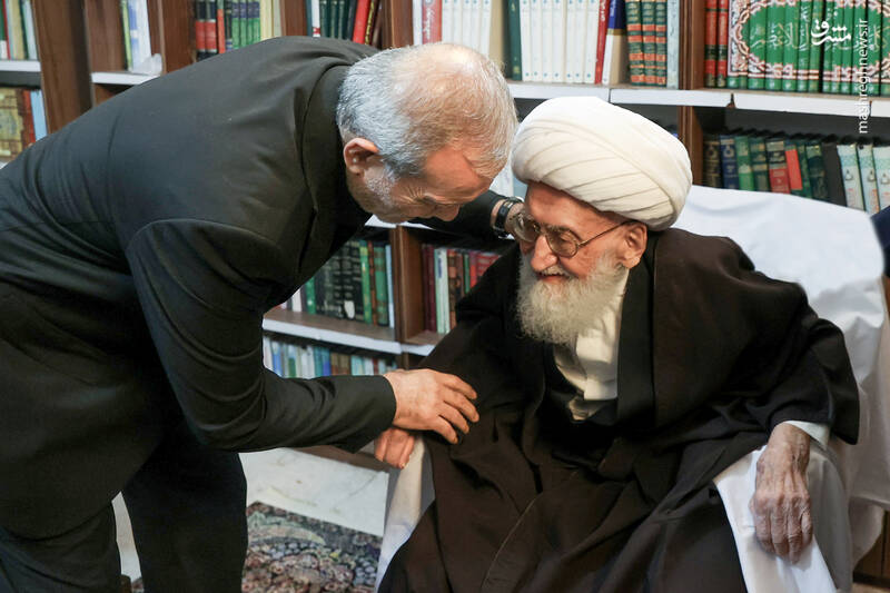 دیدار با آیت‌الله نوری همدانی