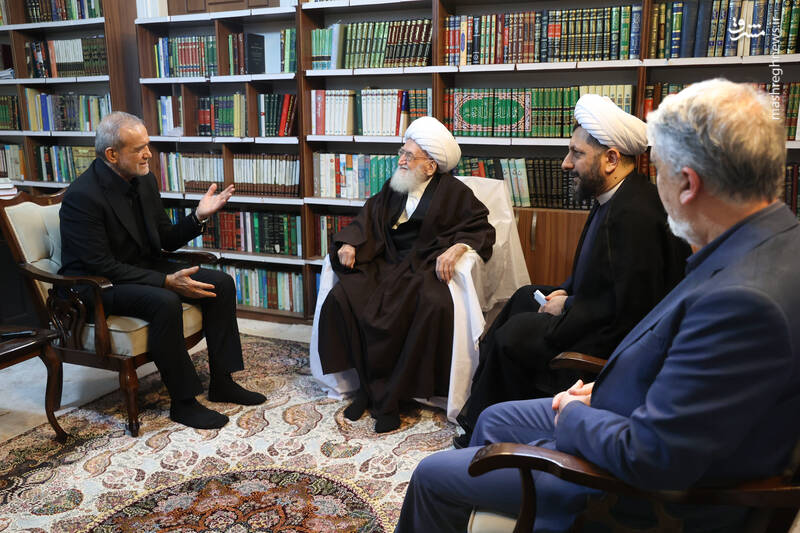 دیدار با آیت‌الله نوری همدانی