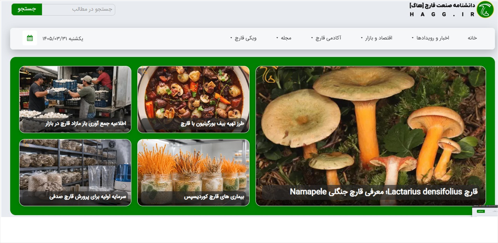 هاگ؛ اولین پایگاه تخصصی قارچ‌های دارویی به زبان فارسی