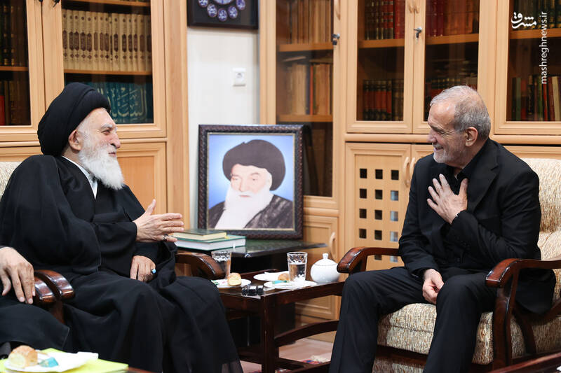 دیدار با آیت الله علوی بروجردی