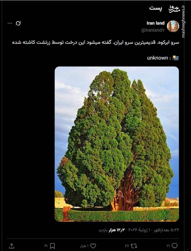 سرو ابرکوه، قدیمیترین سرو ایران