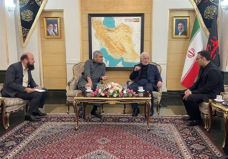 وزير،پاكستان،شركت،كشور،ايران،نقوي