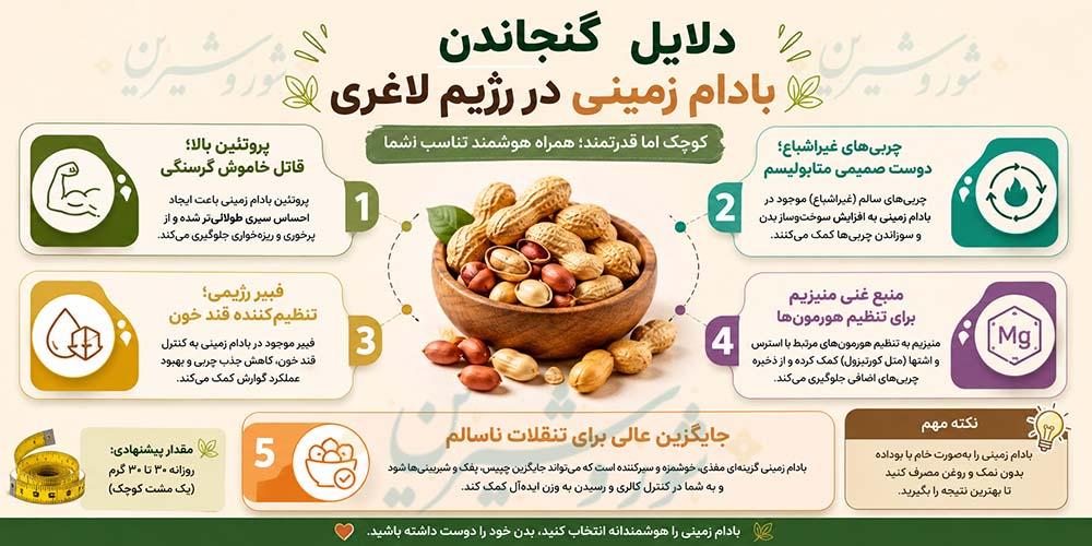 مصرف بادام زمینی در رژیم لاغری؛ معجزه چربیسوزی یا عامل چاقی؟