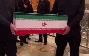 زهرا کوچولوی آقای شهید به زیارت امام علی(ع) رفت