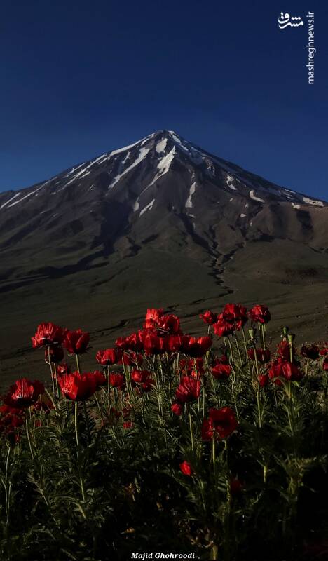 قابی زیبا از بلندترین کوه ایران