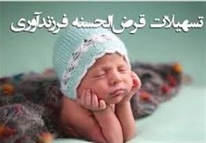 43 درصد متقاضیان تسهیلات فرزندآوری هنوز وام نگرفته‌اند؛ گزارش دیوان محاسبات