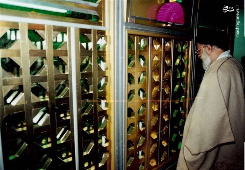 نسب رهبر شهید به کدام امامزادههای ایران میرسد؟