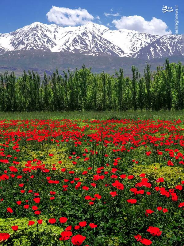قابی زیبا از اشترانکوه لرستان