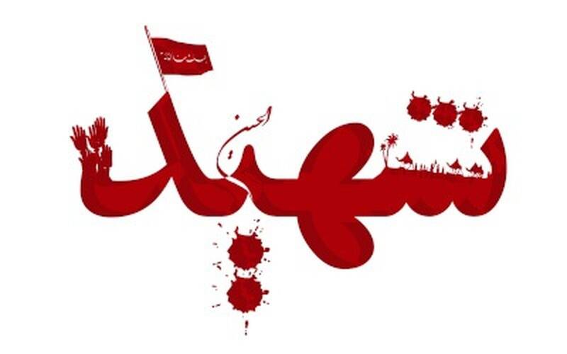 شهادت اعضای خانواده یک محیط‌بان هرمزگان در حمله کور آمریکا
