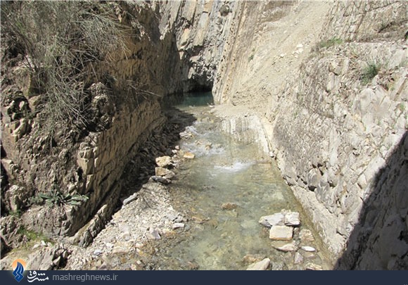 غاری که ماهی کور پرورش می‌دهد+تصاویر