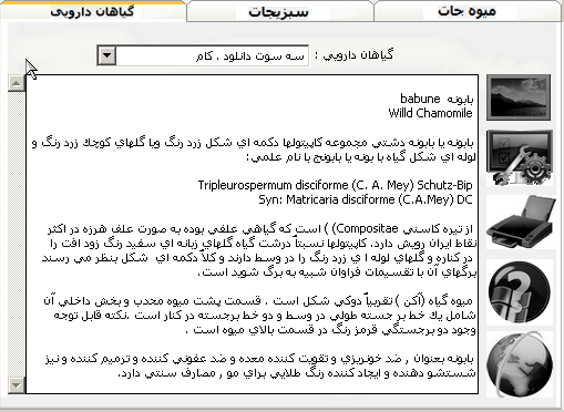 نرم افزاري براي درمان بيماري‌ها با گياهان دارويي + دانلود