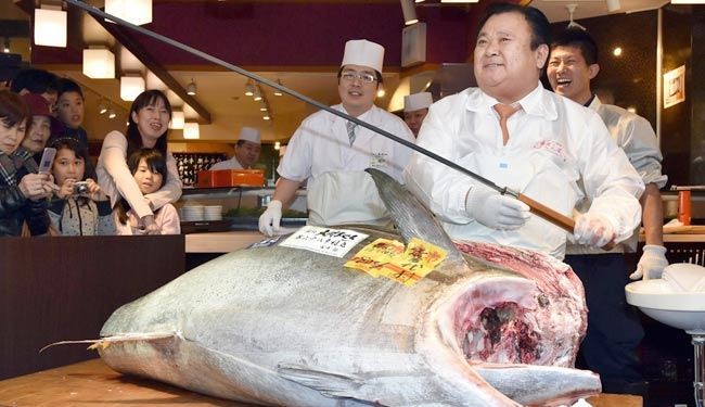 فروش گرانترین ماهی تن در ژاپن+عکس