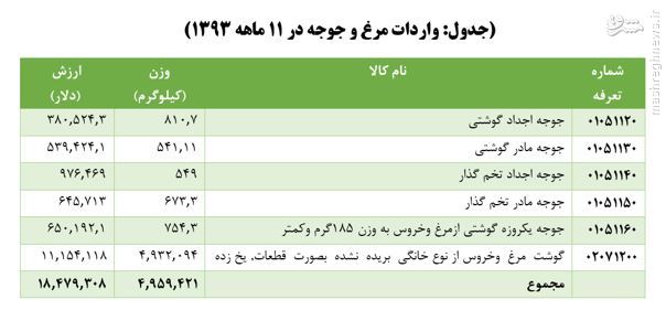 واردات مرغ چگونه سبب گرانی آن شد؟/پرواز قیمت مرغ با کمک مرغ های ترکیه ای/