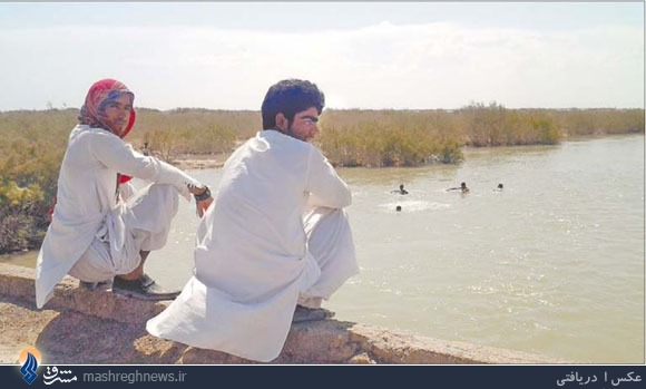 هامون پر آب شد؛ زندگی لبخند زد