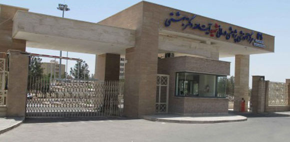 ماجرای فیلم ترسناک جنایت رقم خورده در بیمارستان قم چیست؟