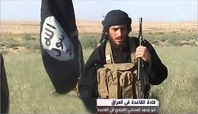 وقتی داعش رسما اعلام میکند رهبر القاعده را داخل آدم نمی‌داند! /داعش خطاب به القاعده: خروج از سوریه محال است