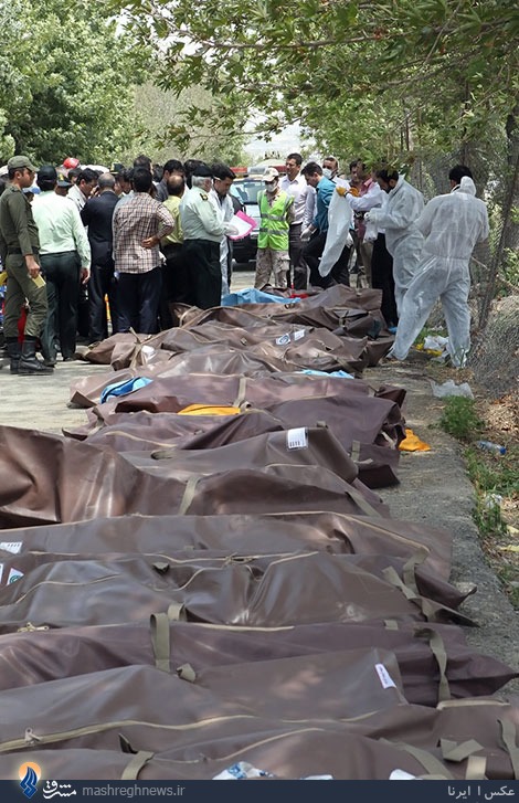 عکس/ اجساد قربانیان سقوط هواپیما +18