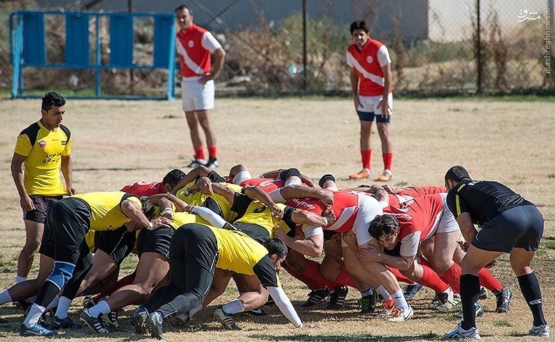 عکس/ به این هم میگن ورزش!