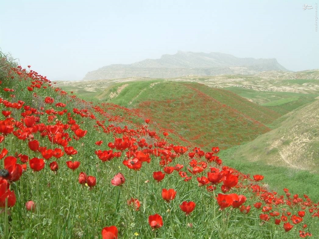 روستای مورداز سوق یکی از محرومترین روستاهای کشور+تصاویر